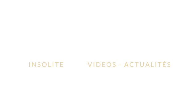 WebCulte.fr - L'actualité culte du web !