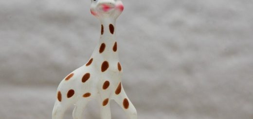 Focus sur Sophie la girafe la star Française des girafe